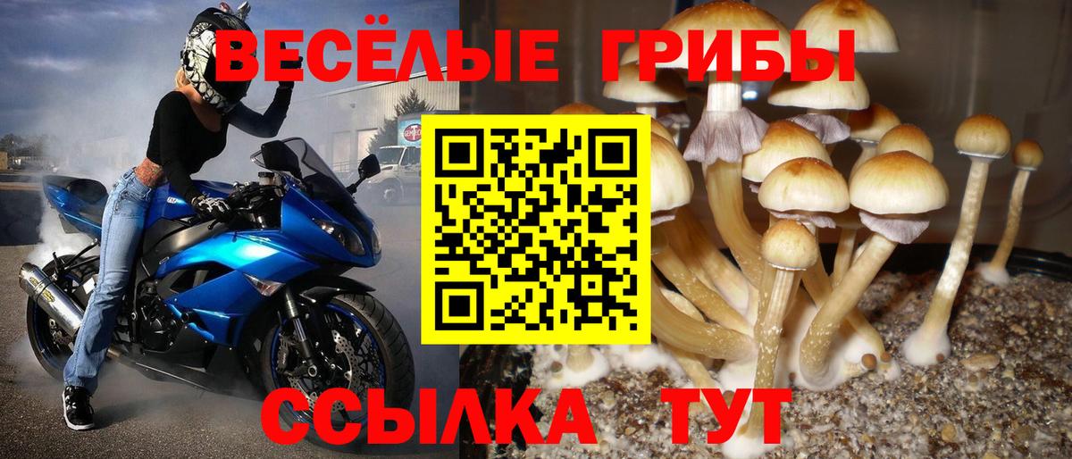 Галлюциногенные грибы ЛСД  наркотики  Галлюциногенные грибы GOLDEN TEACHER  Петропавловск-Камчатский  Вход с VPN 